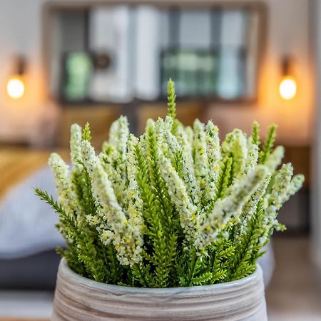 Garesc Lofts Lejlighed Córdoba Eksteriør billede