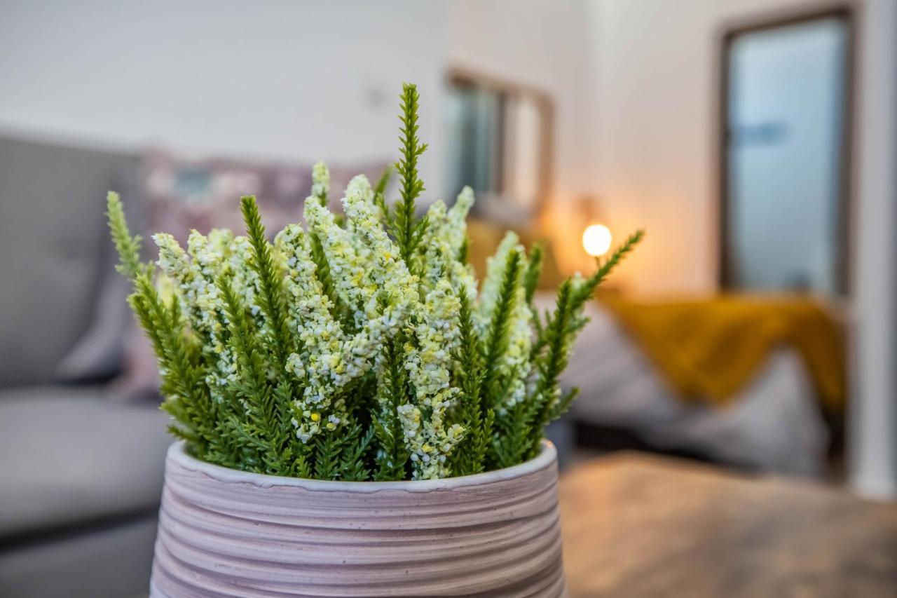 Garesc Lofts Lejlighed Córdoba Eksteriør billede