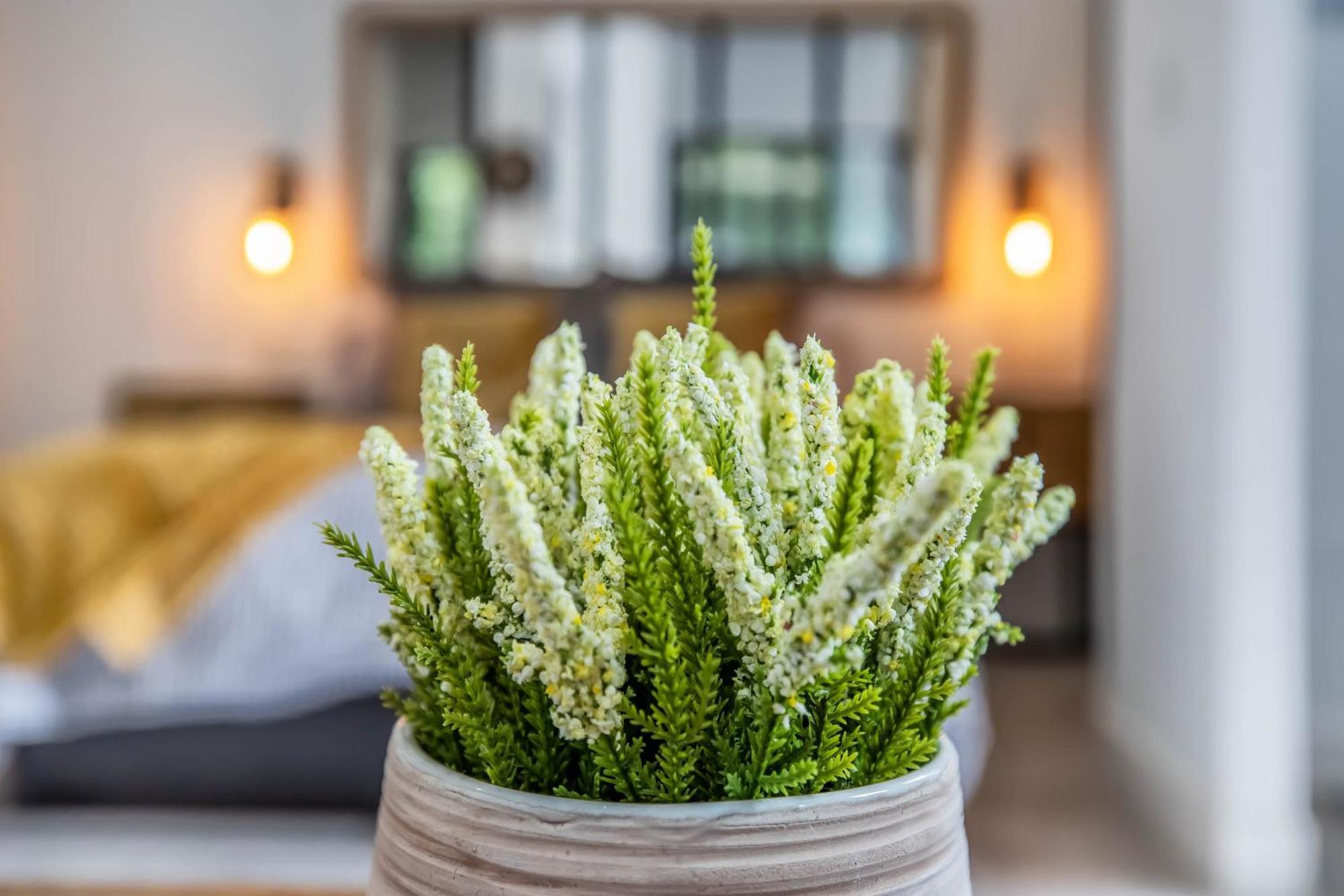 Garesc Lofts Lejlighed Córdoba Eksteriør billede